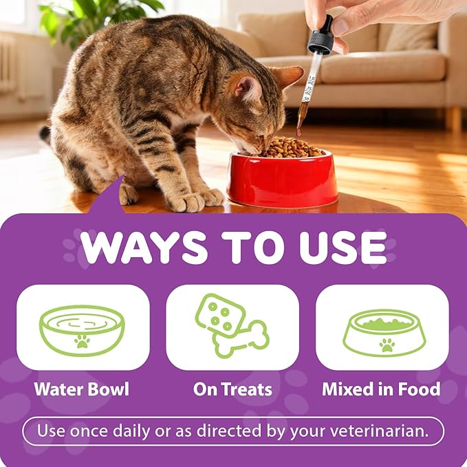 L-Lysine Drops for Cats 60ml - Natural Support for Eye & Respiratory Health | Chicken Flavor | Grain-Free & Gluten-Free | with Herbal Extracts & Vitamins | for Tear Stains & Sneezing