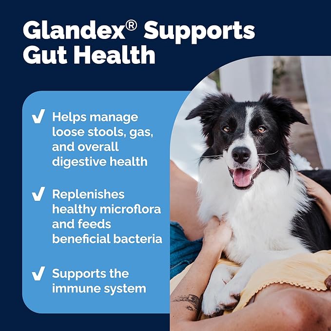 Vetnique Glandex Daily Probiotics for Dogs with Prebiotics to Support Gut Health with Fiber and Digestive Enzymes, Dog Probiotic Powder (8.5oz Powder, Pork Powder)