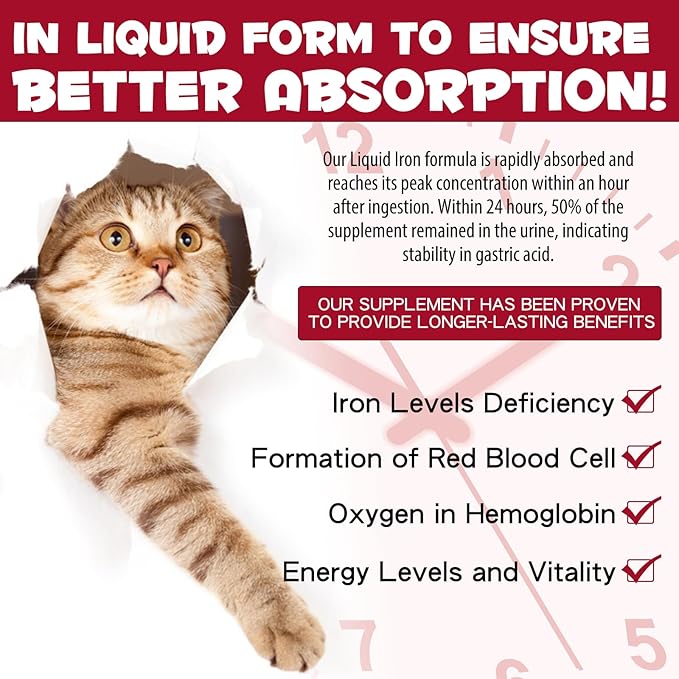 Iron Supplements for Cats, Liquid Iron for Cats, Liquid Iron Drops with Folate and B12 Supports Anemia, Low Enery Levels and Lethargy, Improve Energy Levels & Vitality, Cat Supplement