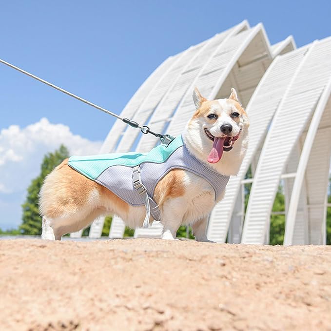 Dog Cooling Clothes Pet Vest Breath-able Mesh Fast-Dry with Reflective Strip Dogs Supply Mesh Fabric Clothing Lightweight for Dogs