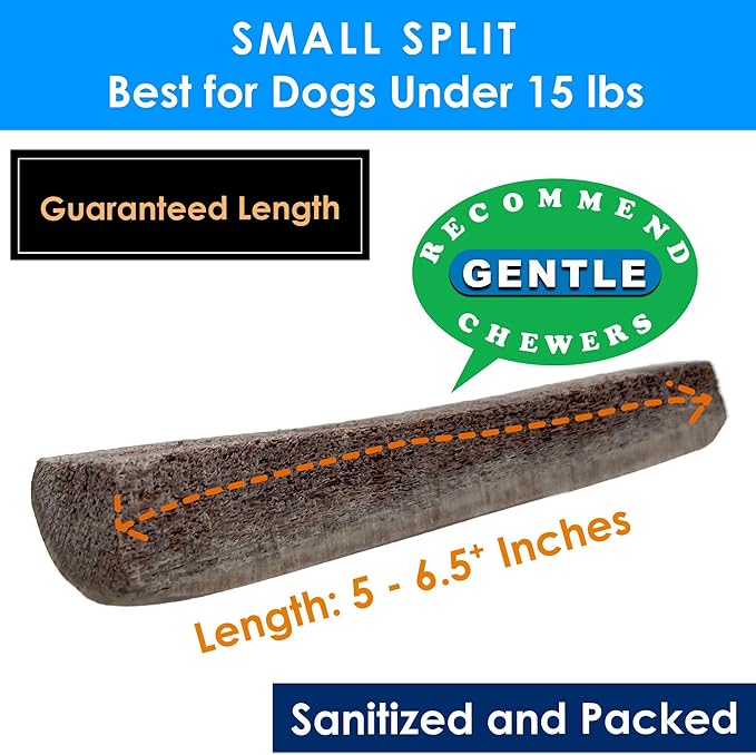 6-Pack Small Split Elk Antler Dog Chews (5 to 6.5+ in) – All Natural, Premium Grade A, Odor-Free, USA-Sourced – Long-Lasting Dental Treats for Toy and Small Dogs Under 15 lbs