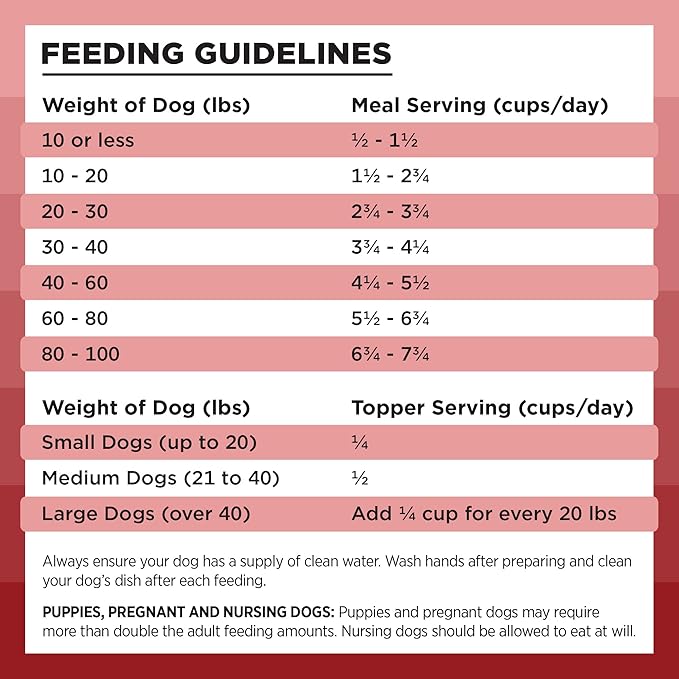 BIXBI Liberty Freeze-Dried Dog Food Topper & Treats,Beef – 98% Meat & Organs,No Refrigeration – USA Made,12 oz,(Pack of 2)