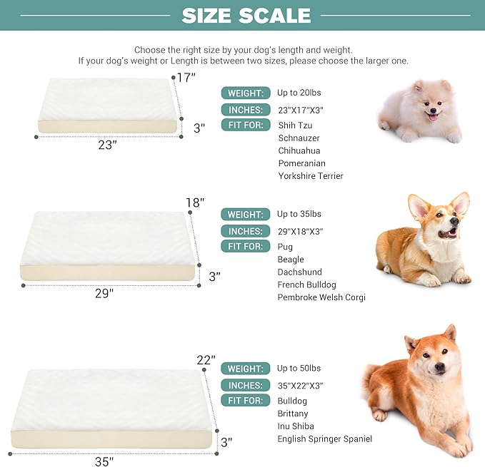 Vonabem Waterproof Dog Beds Medium Sized Dog, Washable Crate Pad 30 inch, Outdoor Orthopedic Foam Puppy Bed with Removable Cover Reversible, Anti-Slip Kennel Pad, 29"x18", Beige