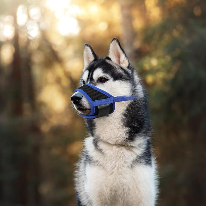 Kichvoe Adjustable Blue Dog Muzzle Anti-Biting Puppy Mouth Cover 14-20cm Breathable Walking Mask for Medium Dogs Pet Supplies