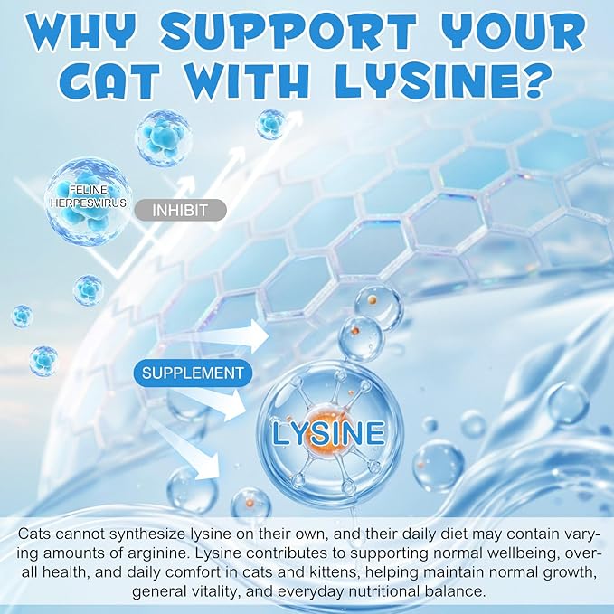 Lysine for Cats, Cat L-lysine Supplement Support Immune for Feline Respiratory, Sneezing, Runny Nose, Eye Function, Helps Strengthen Natural Defenses - Chicken Flavor 60ml-2PCS