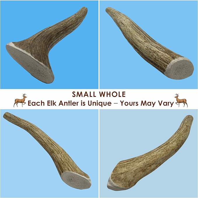 5-Pack Small Whole Elk Antler Dog Chews, 5-7+ Inches, Long-Lasting Natural Dog Chews for Aggressive Chewers, Teeth Cleaning Antler Treats for Small Dogs Under 20 lbs