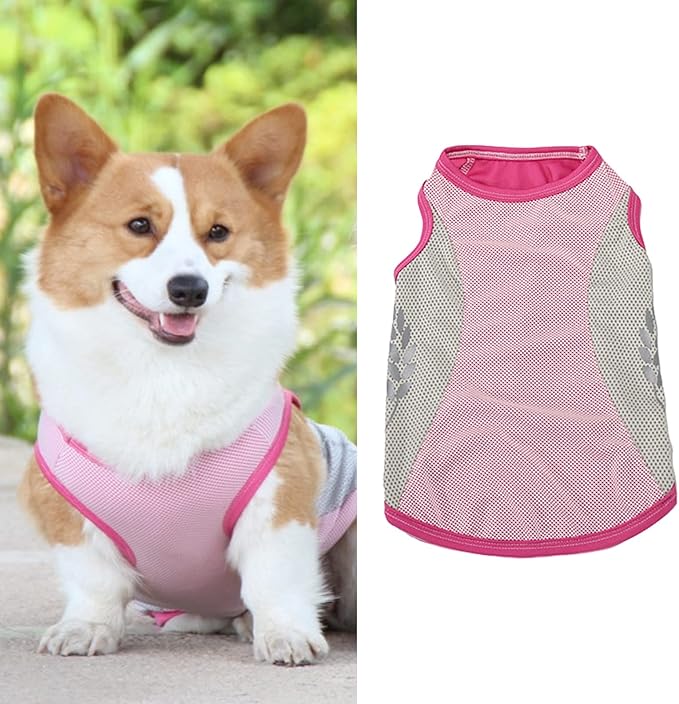 Dog Harness Leash, Breathable Fabric Bow Tie Harness Set, Colorful Sturdy, for Medium Large Dogs Walking Pet Supplies (L)