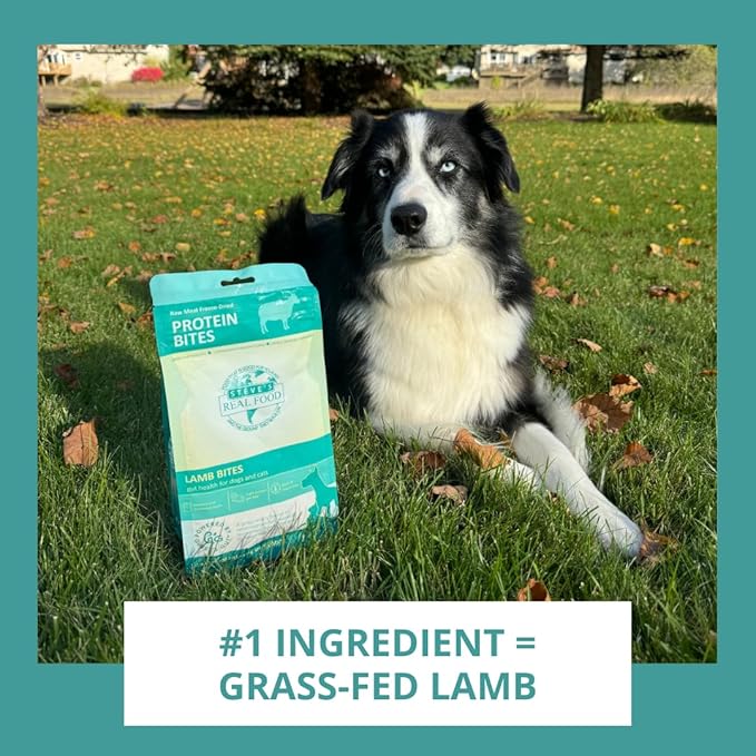 Steve's Real Food Protein Bites Gut Health Treats - Freeze-Dried Pet Treats for Cats and Dogs - Lamb Recipe - 4 oz