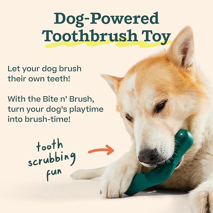 WOOF - Bite n' Brush Refills for The Dog Toothbrush Toy - Scrub Plaque and Tartar from Your Dog's Teeth and Mouth - Dog Dental Chew Toy Treats - Approximately 16 Refills - Beef - 2 Pack