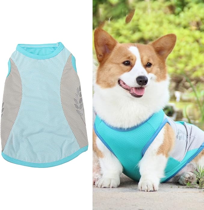 Dog Harness Leash, Breathable Fabric Bow Tie Harness Set, Colorful Sturdy, for Medium Large Dogs Walking Pet Supplies (2XL)