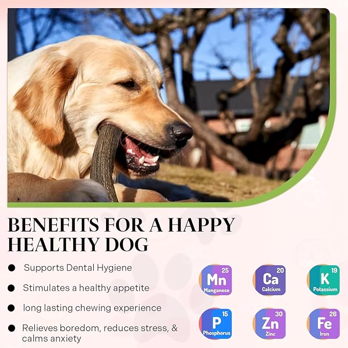 Healthy Dogma Premium Dog Care Bundle | PetMix Original 2lbs Dehydrated Dog Food & Whole Elk Antler Chew | Supports Nutrition, Joint Health & Long-Lasting Chewing Satisfaction