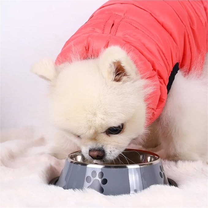 Stainless Steel Large Capacity pet Bowl Dog Food Bowl Multiple Specifications Anti-Fall Food Bowl Food Bowl Feeding pet Supplies(Gery-1pcs,Medium)