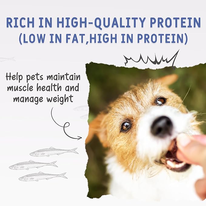 Freeze Dried Capelin Fish Cats & Dogs Treats 70g, Single Ingredient, Rich in Omega 3 & 6 for Healthy Skin & Coat, Grain Free, 100% Whole Fish, Premium Quality High Protein Training Snacks