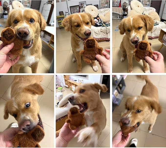 Dog Plush Toy with Squeak , Funny Capybara Stuffing Plush Dogs Chew Toy Bundle for Small Medium Large Dogs, Durable Chew Toy, Good for Dental Health Keep, Them Busy Best Birthday Gift (Capybara)