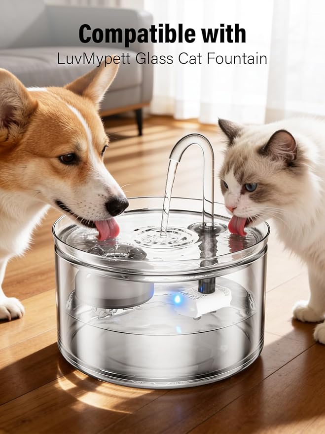 Glass Cat Water Fountain Filter Replacement Set – 6 Filters Replacement - 3 Month Supply Official Replacement Filters Set for LuvMypett Pet Fountain GF222
