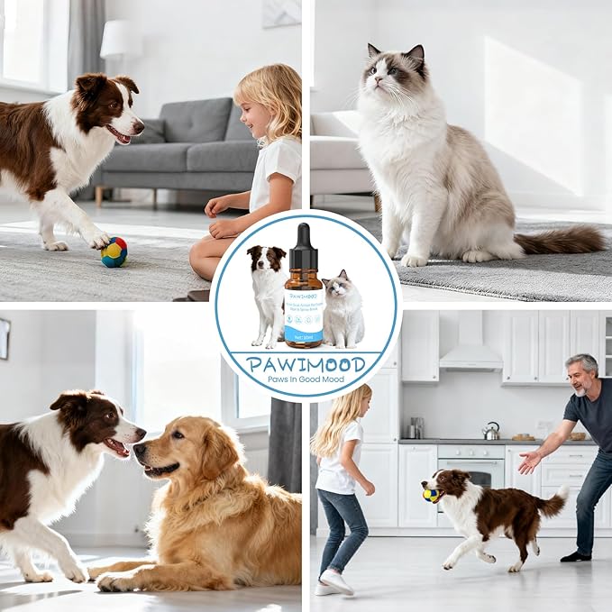 2PCS Waterless Cat Shampoo Essence with Blue Detangling Spray Brush, Hypoallergenic Concentrate for Sensitive Skin, No-Rinse Formula Helps Manage Shedding & Maintain Coat Health,0.34 oz*2