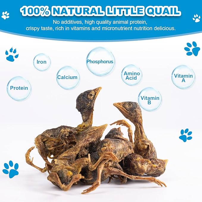 Freeze Dried Little Quail - Single Ingredient Cat and Dog Treats Natural Animal Protein Healthy Tasty Snacks for Training (85g)
