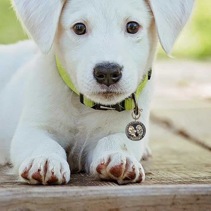 Amosfun Pet Id Tag and Cat Identification Engraved Metal Pendant with Backside Round Dog and Anti-Lost Identification in Pet Supplies