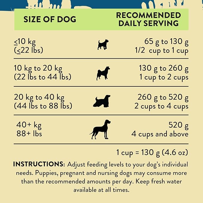 Addiction Steakhouse Beef & Zucchini Air-Dried Grain-Free Dog Food – Complete Meal or Topper with Natural Ingredients for Digestive and Skin & Coat Health, 2lb