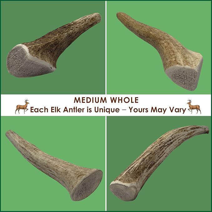 5-Pack Medium Whole Elk Antler Dog Chews, 5.5-8+ Inches, Long-Lasting Natural Dog Chews for Aggressive Chewers, Teeth Cleaning Antler Treats for Dogs Under 40 lbs