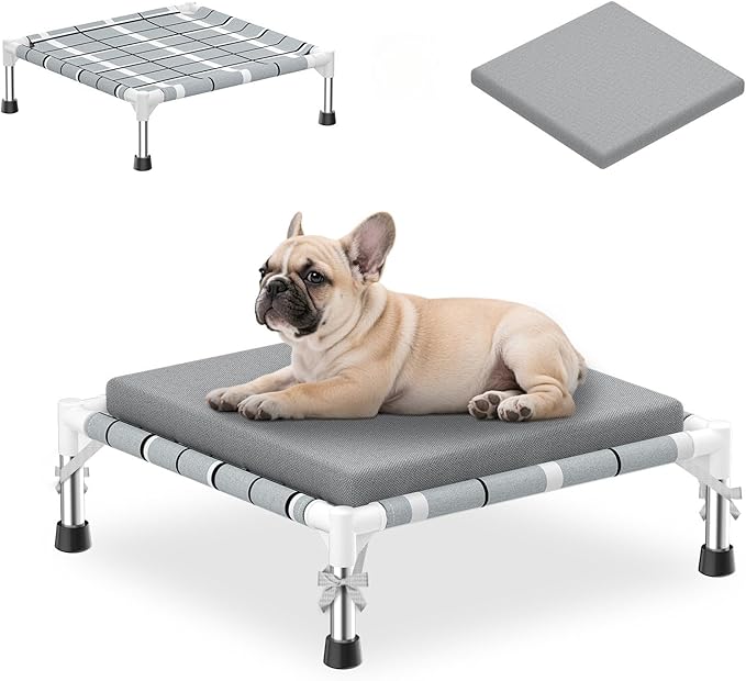 Elevated Raised Outdoor Dog Bed - Cooling Lifted Outside Dogs Bed with Cushion Mat Dog Hammock Bed with Stainless Steel Frame Portable Puppy Pet Bed for Indoor & Outdoor (S: 20" x 20" x 8")