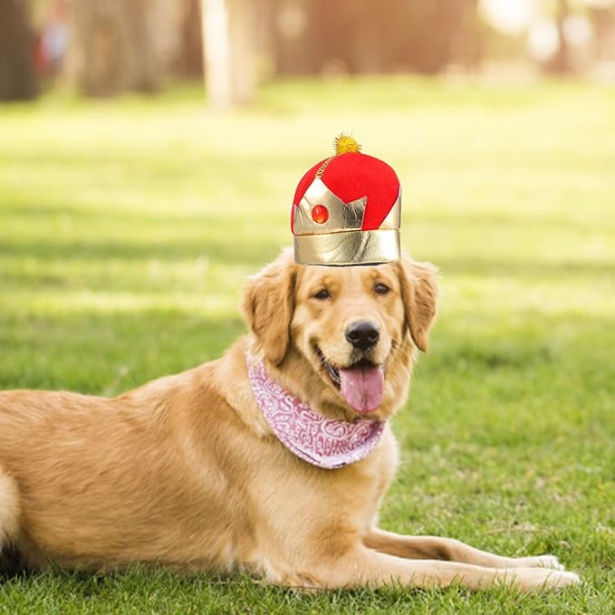 Angoily Dog Cat Crown Hat Adjustable Decorative Puppy Party Pet Supplies Halloween Costume Headwear for Small Medium Pets