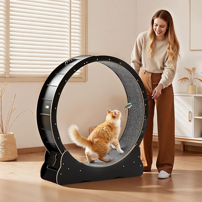 VEVOR Cat Exercise Wheel, 48 in Wooden Cat Running Wheel for Indoor Cats up to 28 lbs, Cats Treadmill with Carpeted Runway & Locking Mechanism, Quiet Kitten Sport Toys for Pets Fitness & Health, Black