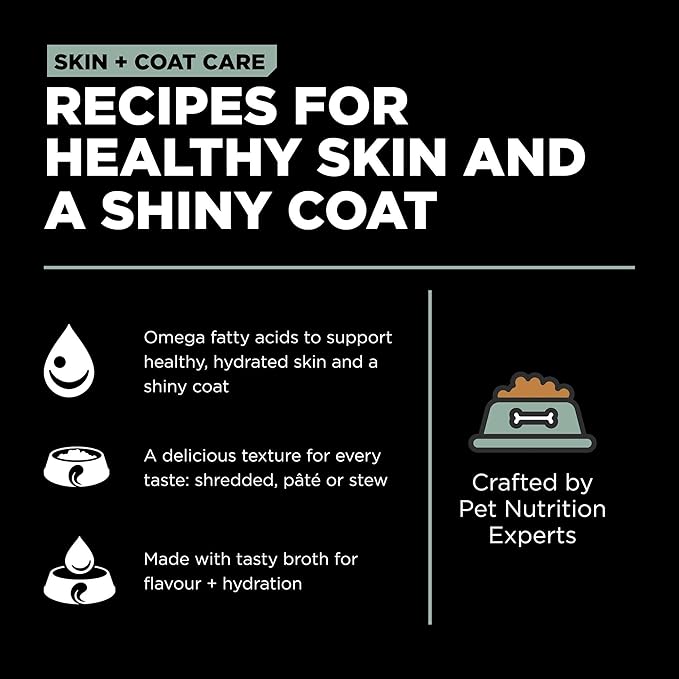 Go! Solutions Skin + Coat Care, Wet Dog Food, Turkey and Salmon Pâté with Grains for Sensitive Skin, 12.5 oz (Pack of 12)