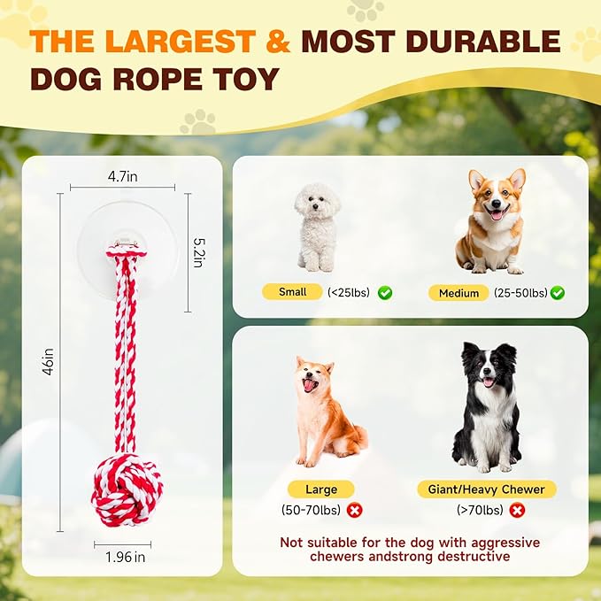 Interactive Dog Toys with Strong Gel Suction Cup, Durable Rope & Chew Ball, Dog Toys for Aggressive Chewers, Tug of War Dog Toy, for Small to Medium Dogs, Red White