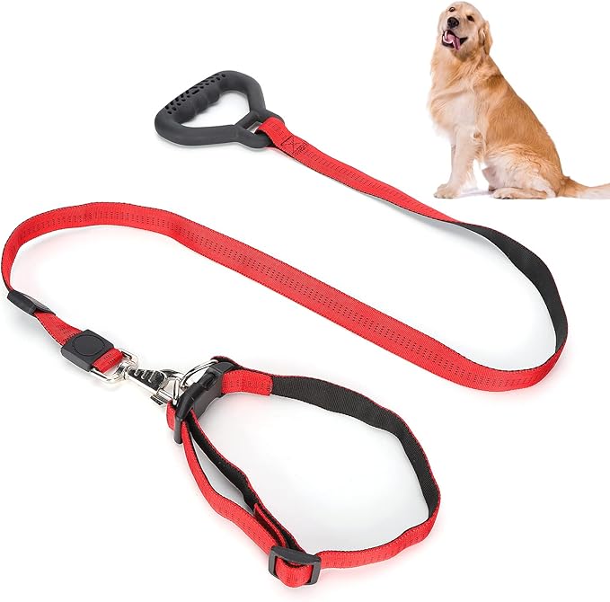 Heavy Duty Dog Leash Collar Set, Adjustable Nylon Leash with Soft PP Handle, Durable Rope Leash Collar for Small Medium Large Dogs, Pet Supply with Shock - Absorbing (Red)