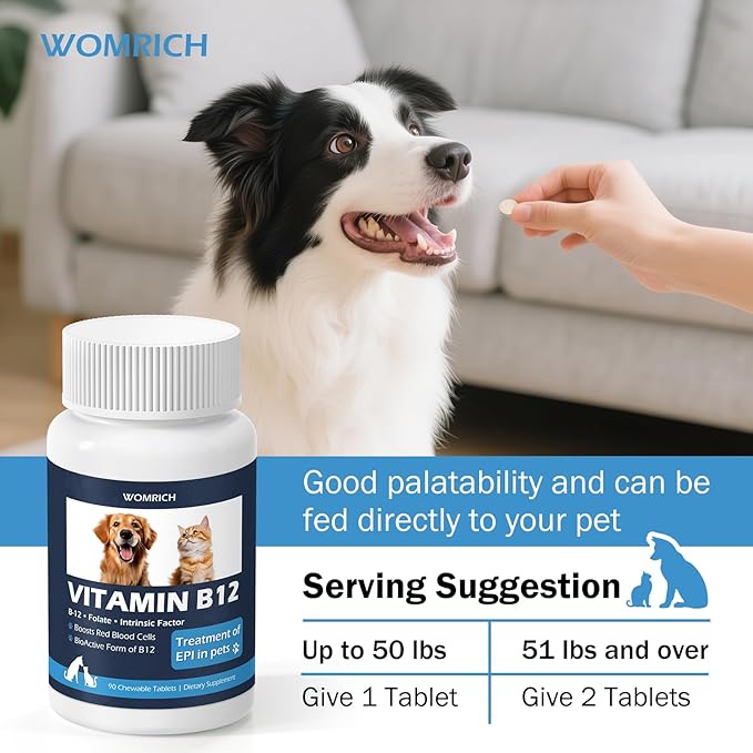 Appetite Stimulant Vitamin B12 Tablets for Cats and Dogs – Methylcobalamin B12 – Treatment of EPI in Pets Supports Energy, Red Blood Cell Formation, Nervous System, and Appetite – 90 Tablets
