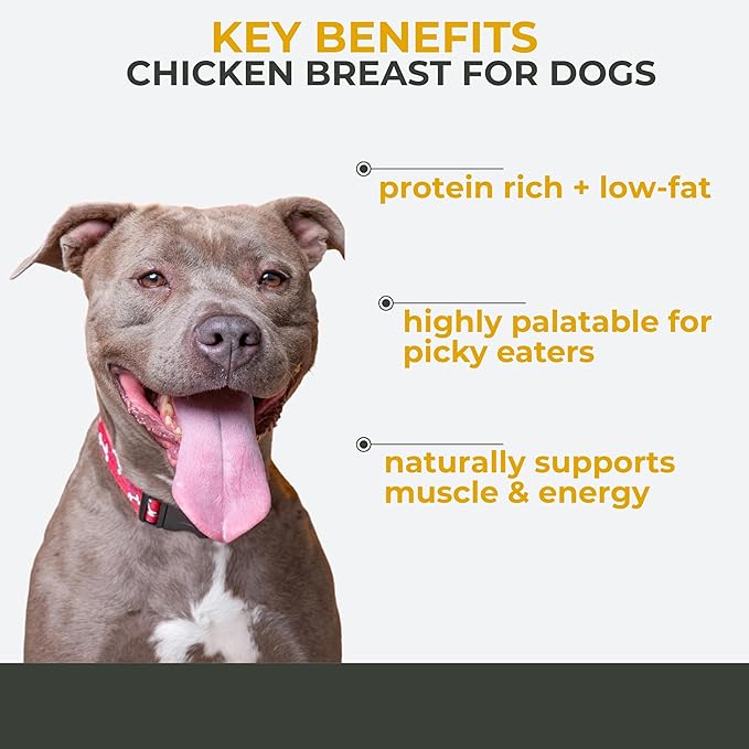 Momentum Carnivore Nutrition Freeze-Dried Chicken Breast Dog Treats & Cat Treats – Single-Ingredient, High-Protein, Grain-Free, Lean & Easily Digestible – Made in USA – 3 oz Bag