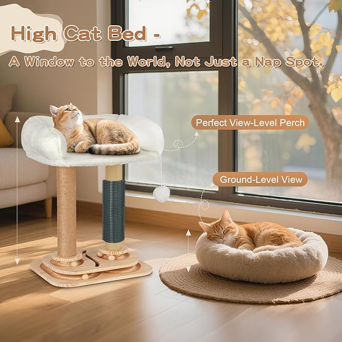 Scratching Post with Bed for Indoor Small Kittens, 4 in 1 Cat Tree with Self Groomer, Track Balls, Natural Sisal Cat Tower with Interactive Toy