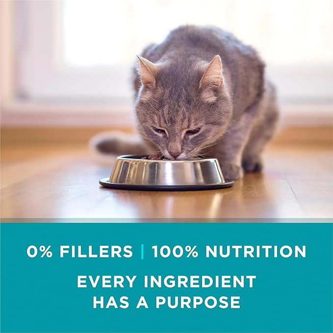 Purina ONE Natural, High Protein Cat Food Variety Pack, Turkey, Chicken and Tuna Recipes - (2 Packs of 12) 3 oz. Cans