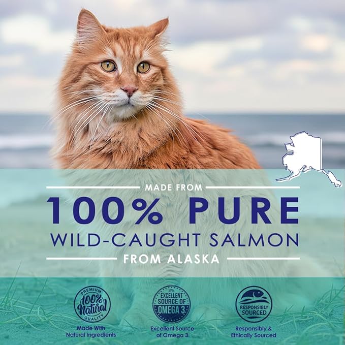 Premium Omega 3 Fish Oil for Cats - Wild Alaskan Salmon Oil Supplement for Skin and Coat - Liquid Cat Supplement for Shedding Control & Cat Dandruff - 16oz
