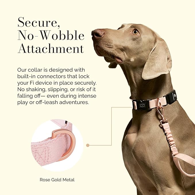 The DOGISTRY - Fi Sweetheart Collar - Luxury Design Meets Smart Tech - Crafted for Fi Series 3/3+ - Seamless Style & Craft