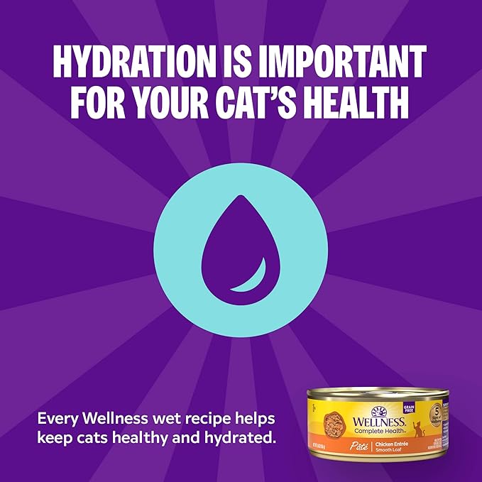 Wellness Complete Health Pate Adult Wet Cat Food, Natural, Protein-Rich, Grain Free, 5.5 Ounce, 24 Pack, (Turkey)