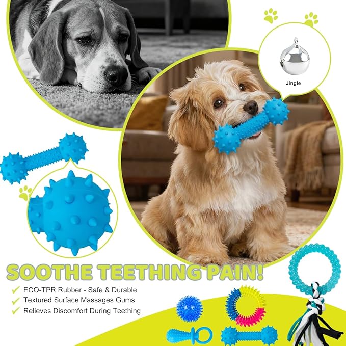 Puppy Chew Toys for Teething- 14pcs Interactive Pet Toy Set for Small Breed with Squeaky Rope Ball Toys - Birthday Gifts for Dogs
