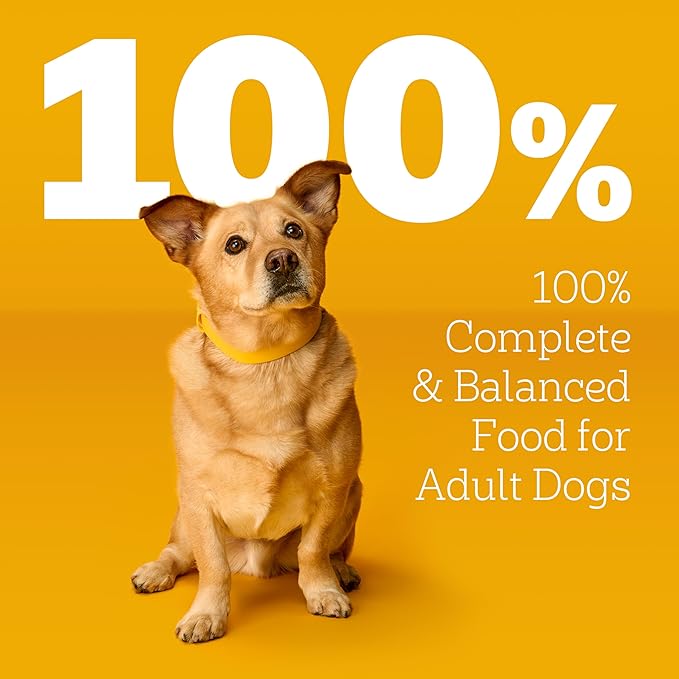 Pedigree Choice Cuts in Gravy Wet Dog Food, Adult Soft Wet Dog Food, Filet Mignon Flavor, 3.5 oz. Pouches, 16 Count