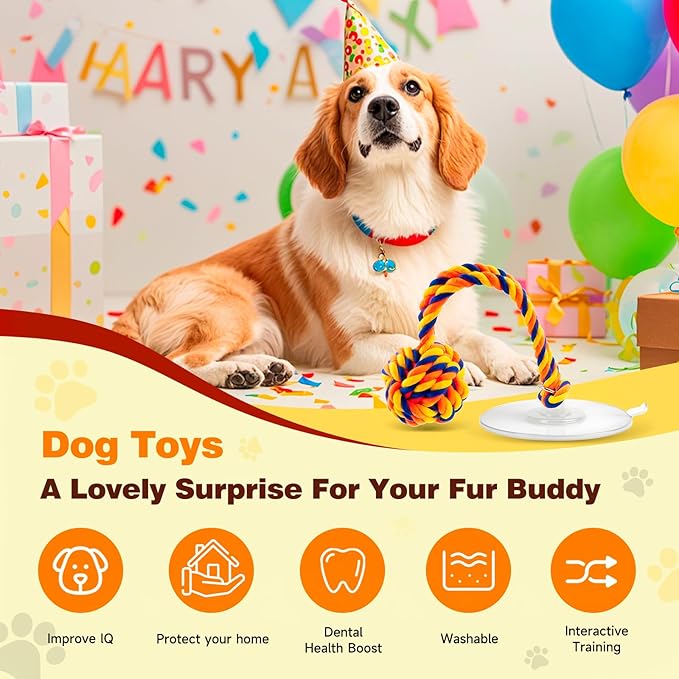 Interactive Tug-of-War Dog Toy with Strong Gel Suction Cup，Durable rope and orange chew ball，The indestructible enrichment puzzle, built for aggressive and busy chewers，For small to medium dogs