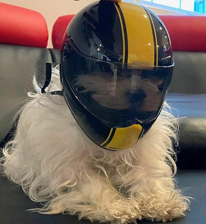 Pet Motorcycle Helmet Dog/Cat Full Face Motorcycle Helmet Outdoor Motorcycle Bike Riding Helmet Hat for Cat Dog Doggie Puppy Kitten Pet Supplies Racing Car Fan Collectible Small Gift (Black-Yellow)