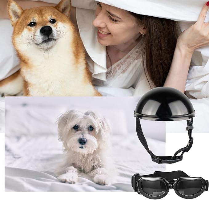 Dog Helmet and Goggles 2Pcs/Set Adjustable Chin Strap Dome Dog Helmet with Ear Hole Windproof Stylish Decorative Goggles Pet Supplies