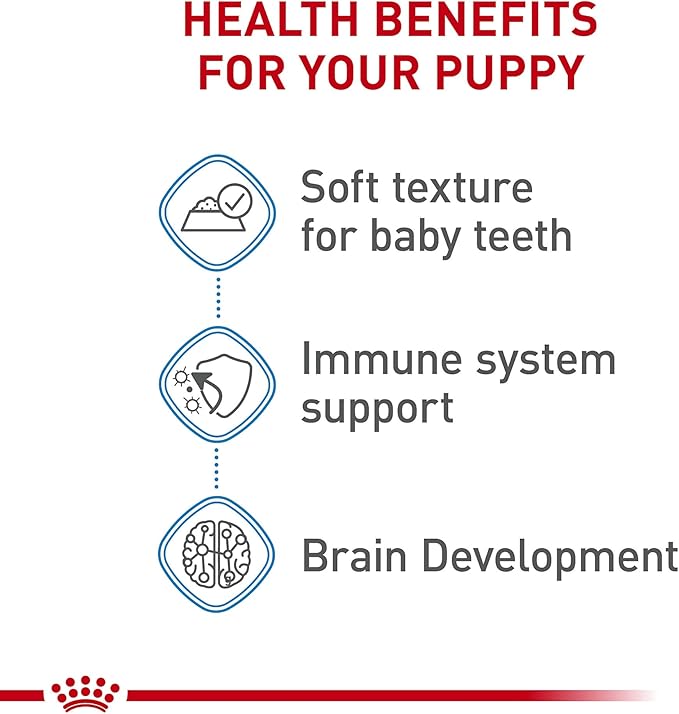 Royal Canin Size Health Nutrition Large Puppy Thin Slices in Gravy Dog Food, 13 oz (Pack of 6)