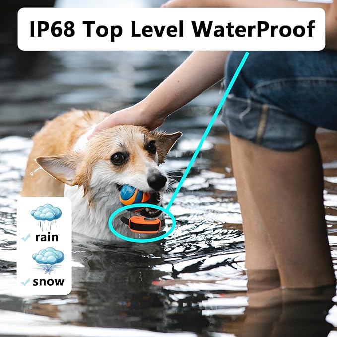 Indoor Pet Barrier for Dogs, Wireless Indoor Electric Fence, Pet Gate, Keeps Areas Off Limits, Dog Fence Waterproof/Rechargeable Training Collar (2 Dogs System)