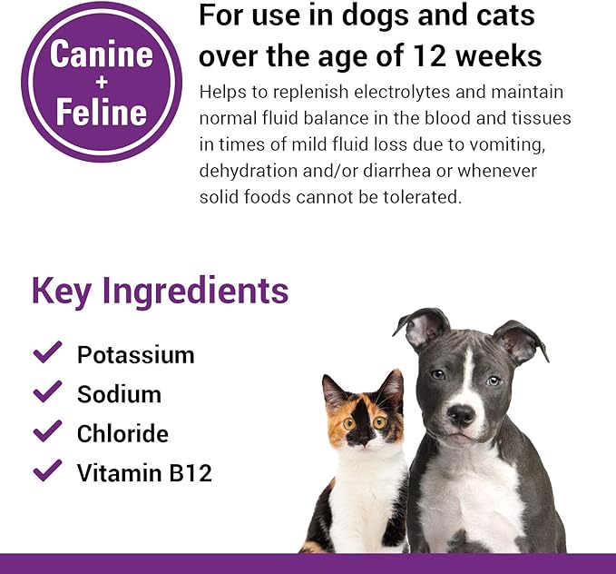Vet Classics Pet-A-Lyte Oral Electrolyte Solution for Dogs and Cats – Helps Replace Fluids Lost from Pet Dehydration, Diarrhea, Vomiting – Replaces Dog Electrolytes – 32 Oz.