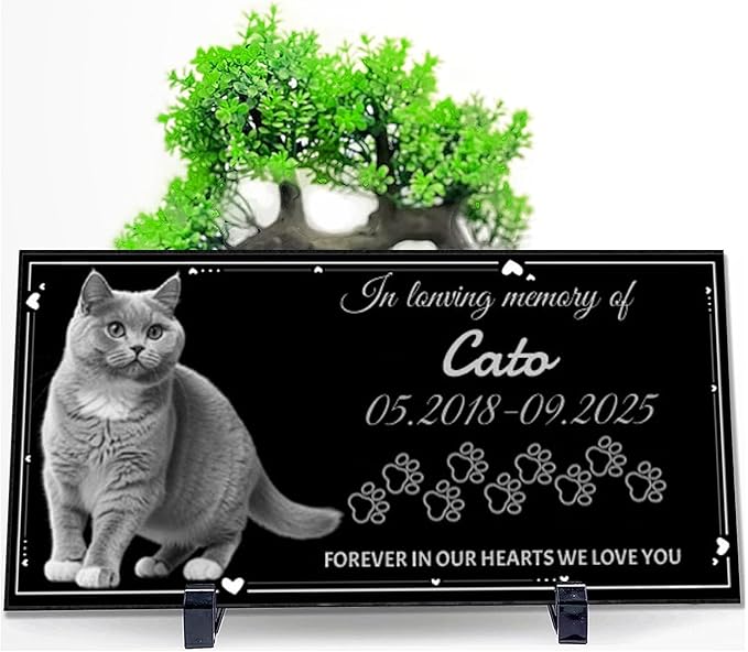 Dog Headstone, Memorial Stone,Black Granite Memorial Garden Stone Engraved with Photo,Pet Headstones Personalized Pet Memorial Stones for Dog,Cat Tombstone (Cat Headstone)