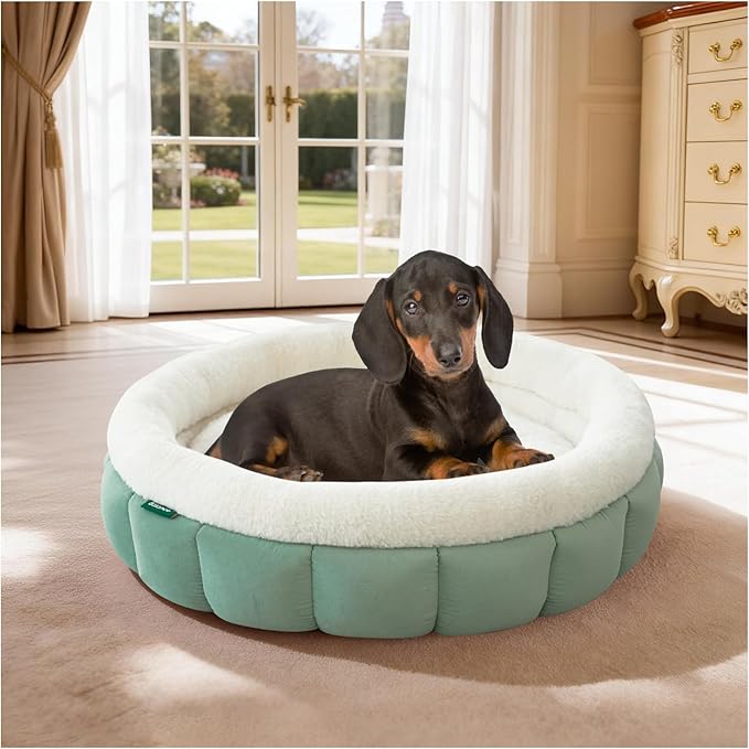 BALANCE Cat Beds for Indoor Cats, Washable Round Dog Bed, Donut Dog Bed with Anti-Slip Bottom for Small Dogs, 28 Inches, Granite Green