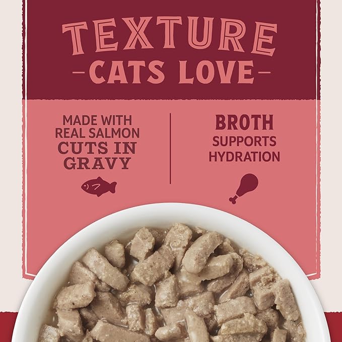 Natural Balance Ultra Protein Wet Cat Food Cuts in Gravy, Real Salmon Recipe with Protein-Rich Organs for Cats, Organ Cat Food with High Protein - 2.7oz. (Pack of 10)