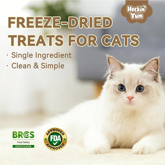 Freeze Dried Duck Cat Treats 4 oz- Single Ingredient, Grain-Free, Gluten-Free, Filler-Free Freeze Dried Raw Cat Food Topper