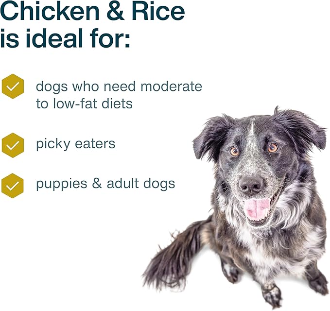 JustFoodForDogs Frozen Fresh Dog Food, Complete Meal or Topper, Chicken & White Rice Human Grade Dog Food Recipe, 18 oz (Pack of 14)
